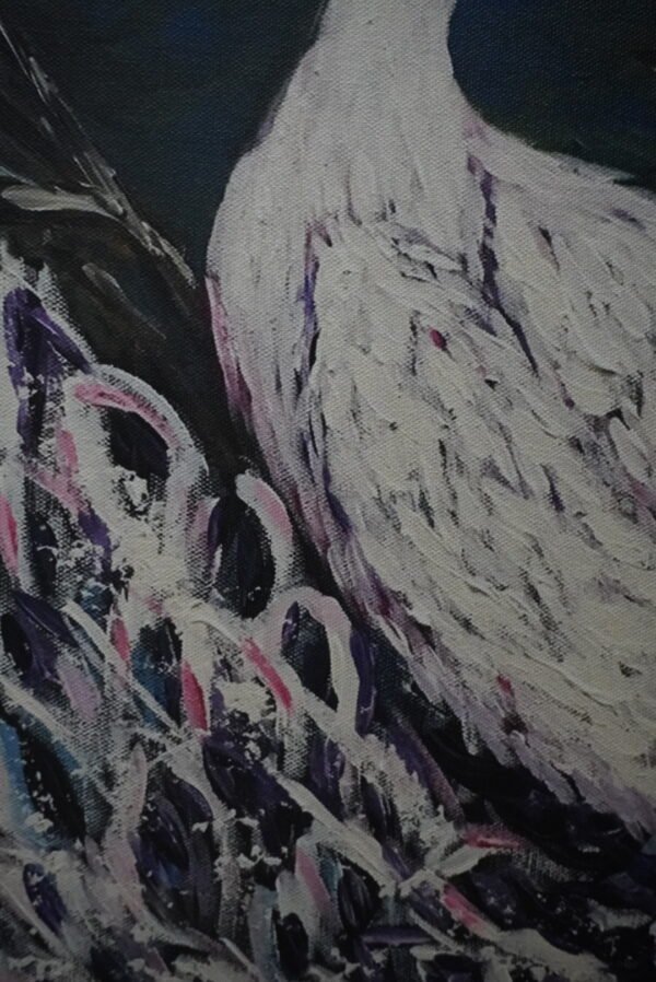 Cream Peacock - Image 4